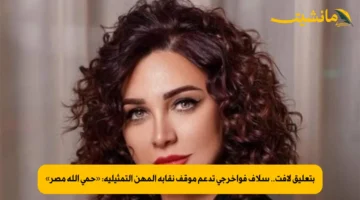 بتعليق لافت.. سلاف فواخرجي تدعم موقف نقابة المهن التمثيلية: «حمى الله مصر»